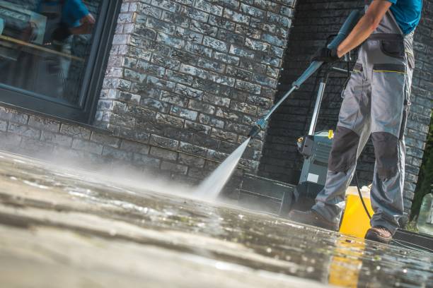 Best Animal Enclosure Cleaning  in West Elmira, NY
