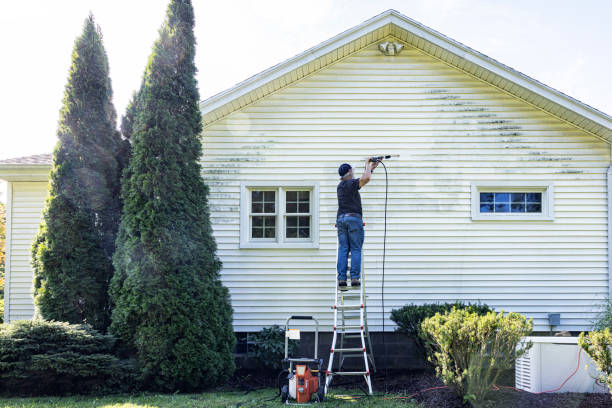 Animal Enclosure Cleaning in West Elmira, NY